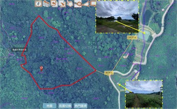 ☆大師房屋☆獅潭和興3甲林地｜苗栗縣獅潭鄉獅潭段和興小段