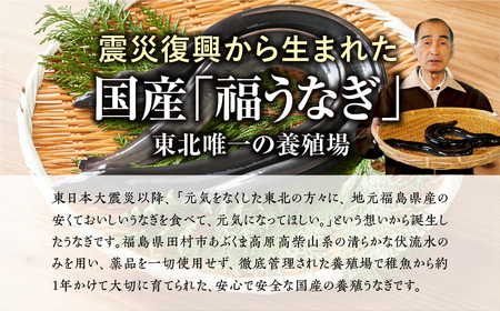 国産 福うなぎ 蒲焼 (140g～150g) 1尾 魚 養殖 ウナギ 鰻 肉厚 冷凍 ギフト 贈答 贈り物 福島県 田村市 ニューフロンティア