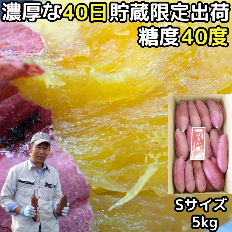 さつまいも 紅はるか 5kg S サイズ 完熟 甘い 熟成 濃厚 蔵出 さつま芋 贈答用 大分 芦刈農産