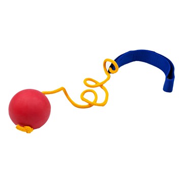 Her-Ea 禾亦 跳躍球 兒童戶外運動玩具 訓練平衡感與協調性 安全材質 附腳環  1入