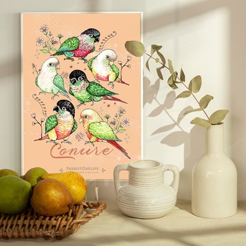 海報 / 小太陽鸚鵡圖鑑系列海報