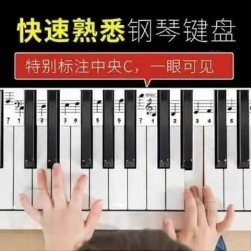 88鍵鋼琴免粘貼紙電鋼琴鍵盤簡譜貼初學入門五線譜音符條鋼琴配件# c886t