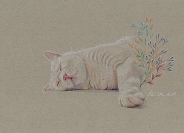 客製化 寵物畫 狗 貓 色鉛筆作品 一單位 含透明框