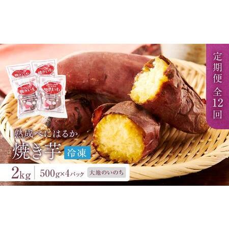 ふるさと納税 蜜がたっぷり♪熟成べにはるか 焼き芋（冷凍）2kg（500ｇ×4P）＜大地のいのち＞ 長崎県