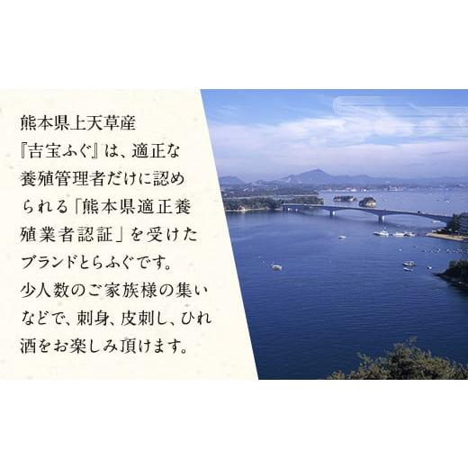 ふるさと納税 熊本県 上天草市 吉宝ふぐ「鍋」セット 切り身／アラ500g ・ ヒレ2枚 など)