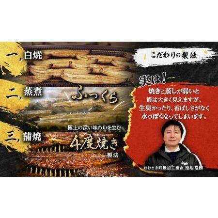 ふるさと納税 おおさきうなぎ鹿児島県産うなぎ長蒲焼4尾（全3回）合計12尾 鹿児島県大崎町