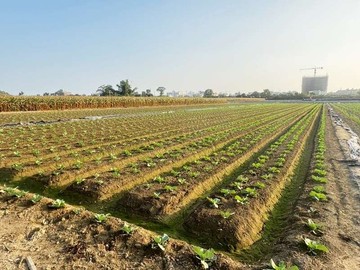 善化大同國小低總價農地｜台南市善化區東勢寮段二小段