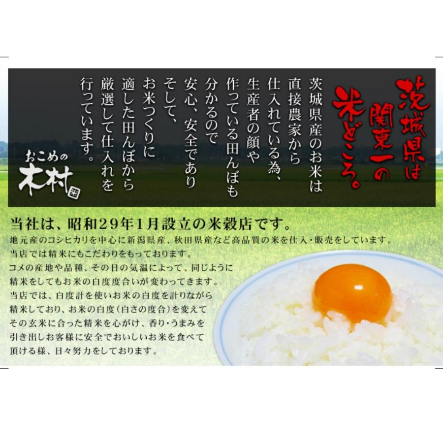 もち米 5kg お米 白米 山形県産 ヒメノモチ 4年産 送料無料