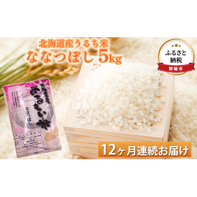 北海道産うるち米　ななつぼし5kg　12ヶ月連続お届け