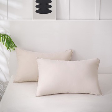 SOFRON 四季基本款可水洗枕頭  淺褐色  40 x 60cm  2個