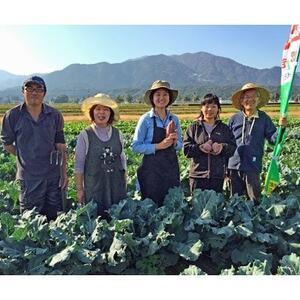 ふるさと納税 陽光ビオファームの「体が喜ぶ」7種の野菜セット(冬季) 三重県いなべ市