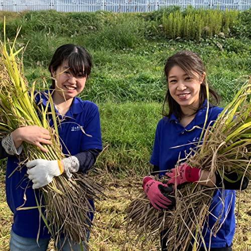 水菜土農園新米 令和5年産 秋田県産 サキホコレ 5kg 古代米お試し袋付き