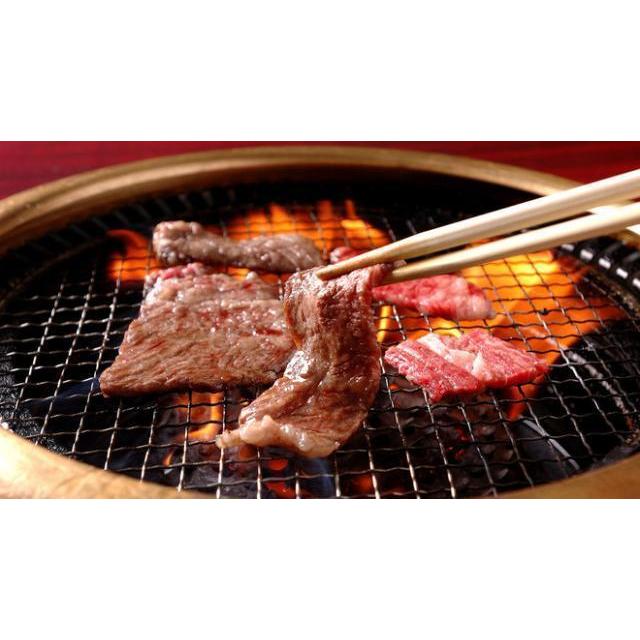 飛騨牛 肉 牛肉 和牛 国産 焼肉 カルビ A5 A4 ギフト 贈り物 食べ物 プレゼント すき焼き肉 引越し祝い 出産内祝い 出産祝い 結婚祝い 700g 4〜5人前