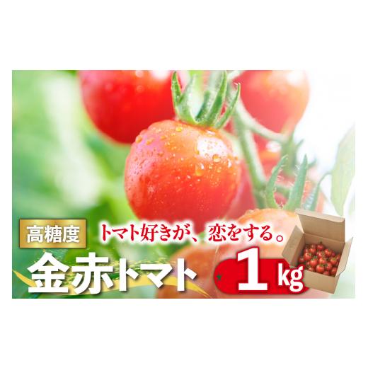 ふるさと納税 愛知県 常滑市 トマト好きが、恋をする。　1kg　金赤トマトミニ
