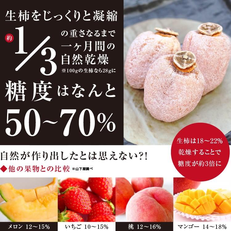 干し柿 市田柿 (800g) ご自宅用 訳あり 長野産 産地直送 ドライフルーツ お菓子 果物 フルーツ 逸品 無添加 干しがき 贈答品 お中元 お歳暮 2022年度産