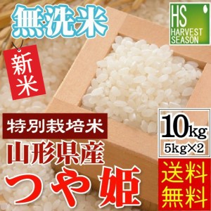 無洗米 山形県産 つや姫 10kg(5kg×2袋) 令和5年産 特別栽培米 