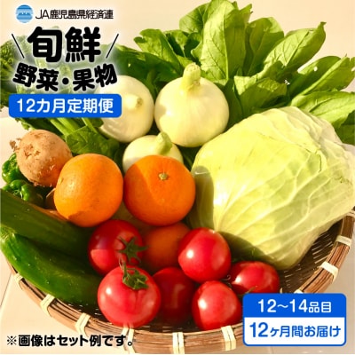 12ヵ月定期便!旬鮮野菜・果物セット(12～14品目)