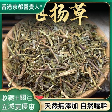 【神農百草堂】免運🚚 飛揚草 大飛揚草節節花草 自然曬幹250g-500g【原材批發】