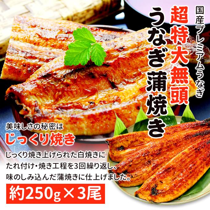 鹿児島産 新 超特大 国産 うなぎ蒲焼き 約250g×3尾 送料無料 海鮮 プレゼント グルメ ギフト