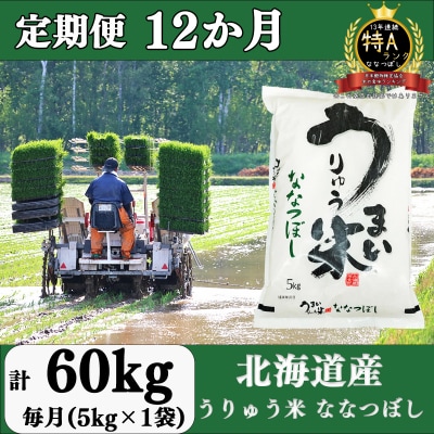 うりゅう米「ななつぼし」5kg 定期便!毎月1回・計12回お届け[AT26]