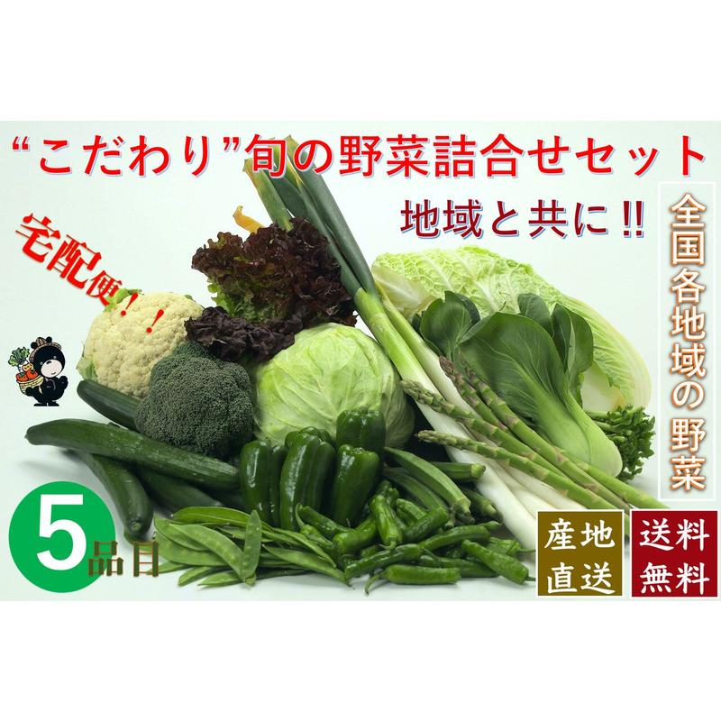 食品 こだわり旬の野菜詰合せセット ５種類 宅配サービス 送料無料