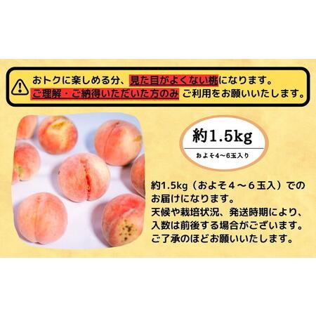 ふるさと納税 ◆2024年夏発送◆＜ 産直・訳あり桃・約1.5kg ＞ ※着日指定不可 ※北海道・沖縄・離島への配送不可 ※2024年7月中旬〜9月中旬頃に.. 福島県国見町