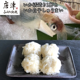 いか活造り1杯といか白子しゅうまい 刺身 惣菜 簡単 ギフト 冷凍