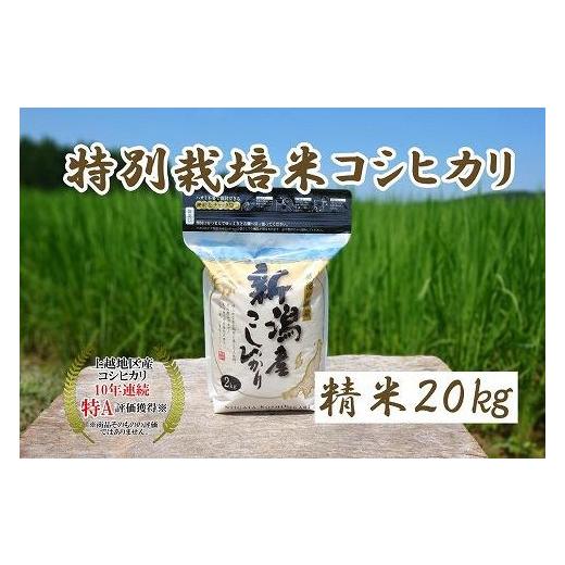 ふるさと納税 新潟県 上越市 令和5年産｜新潟上越三和産｜特別栽培米コシヒカリ（従来種）20kg（2kg×10）精米