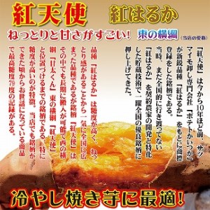 焼き芋 蜜たっぷり！冷やし焼き芋 ひえひえ君 食べ比べ 1kg エレガンス葵＆紅はるか 芋スイーツ H047-032