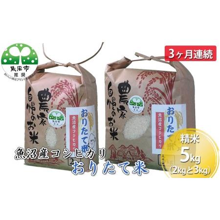 ふるさと納税 魚沼産コシヒカリ おりたて米 精米5kg（2kgと3kg) 3ヶ月連続 新潟県魚沼市