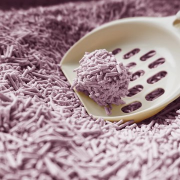 【Abao】2.0速凝阿姨豆腐砂1.5mm 7L【草本植萃】