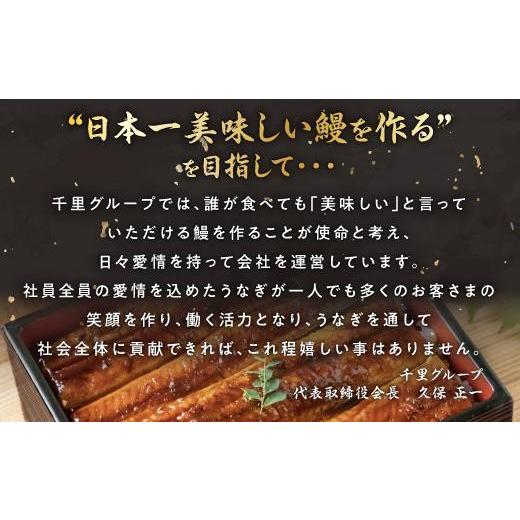 ふるさと納税 鹿児島県 大崎町 鹿児島県産うなぎ　カットうなぎ5袋（合計300g以上）