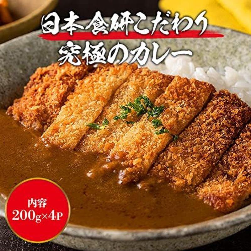 食の達人森源商店 食研カレー 200g×4袋 業務用販売 メール便 代引き不可 着日指定不可 温めるだけ レトルト