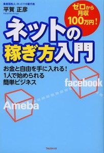 ゼロから月収100万円!ネットの稼ぎ方入門 お金と自由を手に入れる!1人で始められる簡単ビジネス 平賀正彦