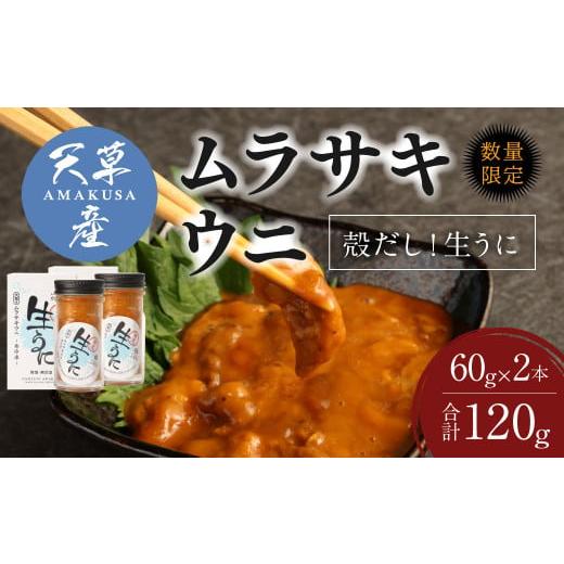 ふるさと納税 熊本県 上天草市 殻だし！生うに 120g(60g×2本)『熊本県天草産ムラサキウニ』無塩 無添加 ウニ 雲丹