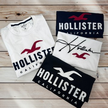 Hollister HCO  短袖t恤 刺繡款 海鷗 短袖 t 恤  大LOGO 衣服 短TEE