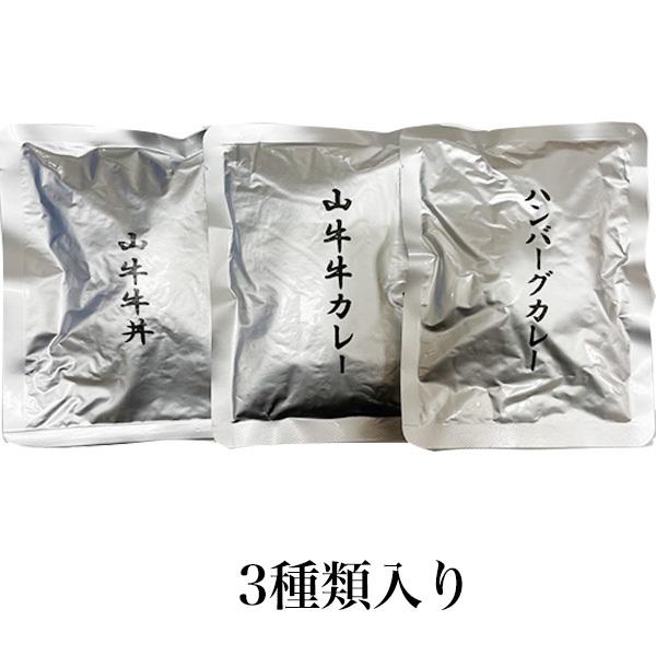 宮崎県産 牛丼とカレーのお試し３種類セット 国産 レトルト おかず 常温保存