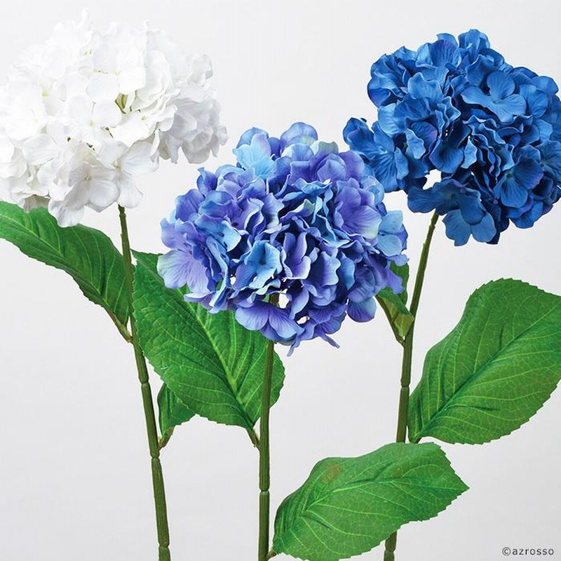 青色アジサイ ハイドランジ ア ジサイ 紫陽花 ホワイト 白 ブルー 青 初 夏