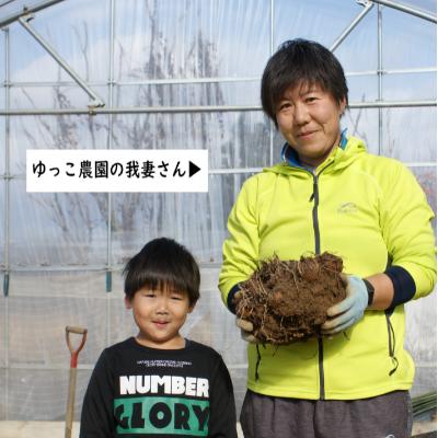 ふるさと納税 川西町 農家直送　土付き里芋(大和早生)2kg