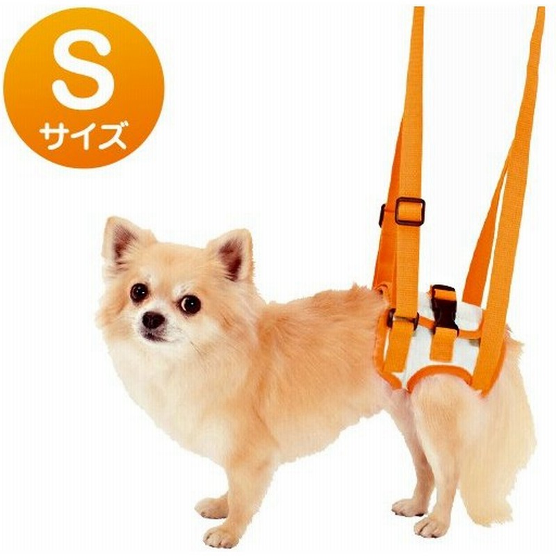 Petio ペティオ 老犬介護用 歩行補助ハーネス 後足用 S(超小型犬用) 犬用品 ハーネス 胴輪 通販 LINEポイント最大0.5%GET | LINEショッピング Petio ペティオ 老犬介護用 歩行補助ハーネス 後足用 S(超小型犬用) 犬用品 ハーネス 胴輪 通販 LINEポイント最大0.5%GET | LINEショッピング