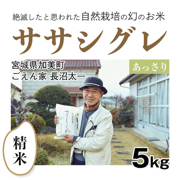 精米5kg「自然栽培ササシグレ」(宮城県)ごえん家 長沼太一さん　令和5年産