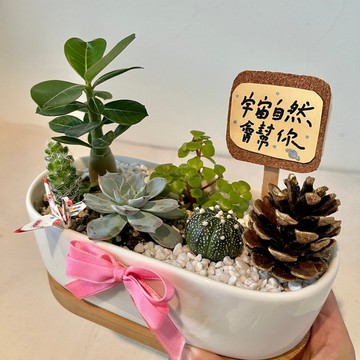 枯山水 松果 日式 開幕送禮 多肉組盆 多肉植物 創意盆栽 多肉盆