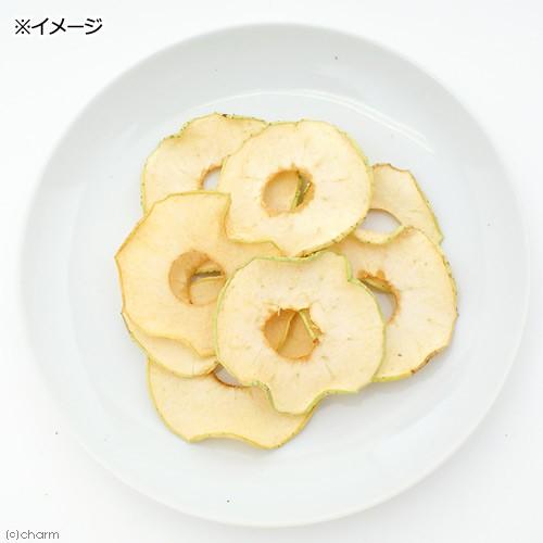 長野県産　青いりんご　１５ｇ　ドライフルーツ　国産　無添加　無着色
