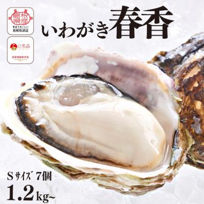 ふるさと納税 海士町 いわがき春香 計1.2kg〜1.6kg Sサイズ7個 生食可能 CAS冷凍 牡蠣 岩牡蠣 かき