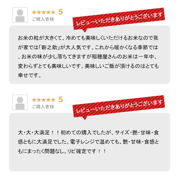 新米 20kg 新之助 お米 20キロ 令和5年産 新潟県産 一等米 しんのすけ 送料無料 白米 産直 精米 5kgx4袋