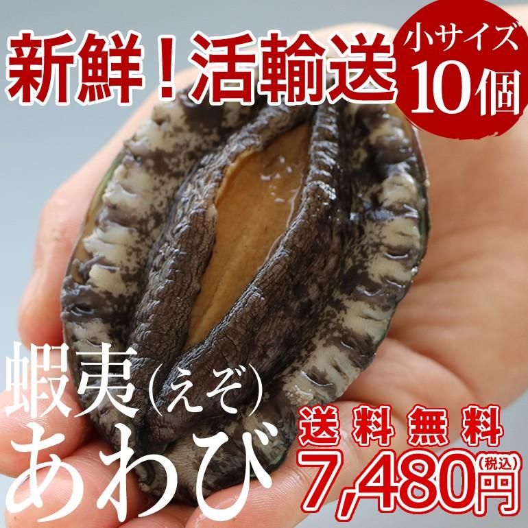 活エゾアワビ（60〜70g×10個）冷蔵