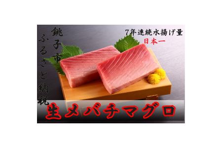 銚子港水揚げ　生メバチマグロ(刺身用サク)300グラム程度 　※沖縄県、離島への発送不可　※発送日・曜日指定不可