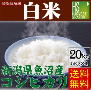 令和4年産 特別栽培米 白米 新潟県 魚沼産 コシヒカリ20kg(5kg×4袋)送料無料 北海道沖縄は別途送料760円