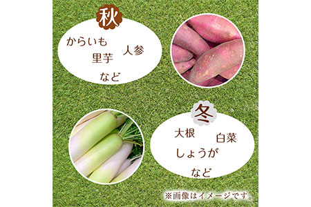 熊本県大津町産 季節の野菜セット(6～8種類)《60日以内に順次出荷(土日祝除く)》野菜 冷蔵 JA菊池 大津中央支所 とれたて市場