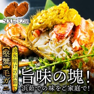 北海道産 浜茹 毛蟹 約500g×2尾 送料無料 国産 蟹 かに カニ 毛がに 毛ガニ 堅蟹 蟹みそ 贈り物 プレゼント 内祝い 快気祝い